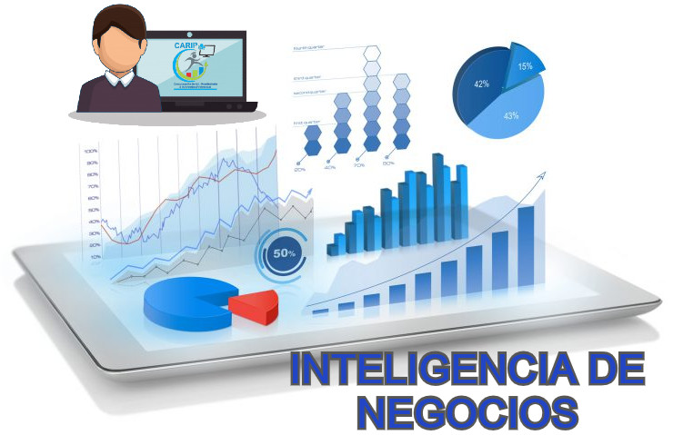 CARIP INTELIGENCIA DE NEGOCIOS